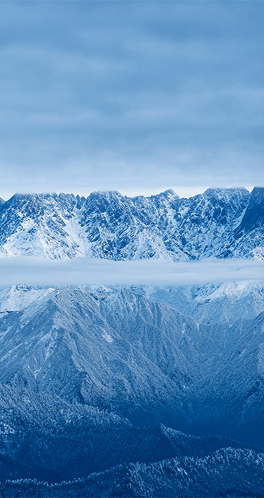 关于菲律宾欧博